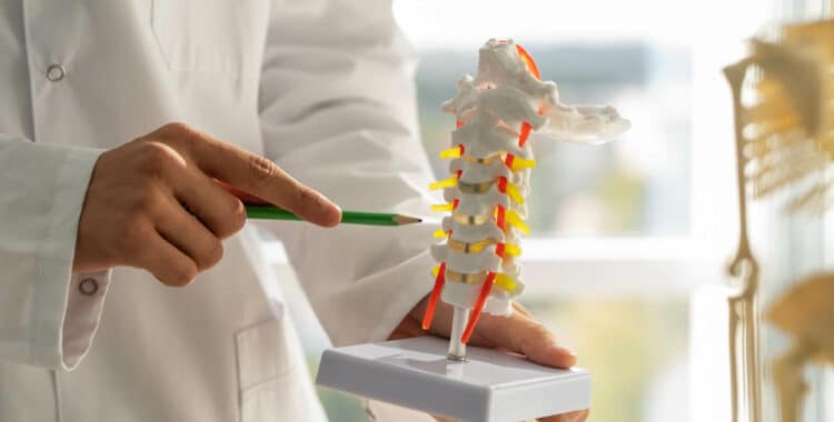 medula espinal lesion